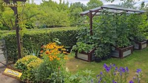 СЕКРЕТНАЯ ПОДКОРМКА ДЛЯ ПОМИДОРОВ / Калорийная Бомба (