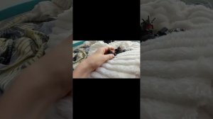 1 сезон все 10 серий скибиди лего