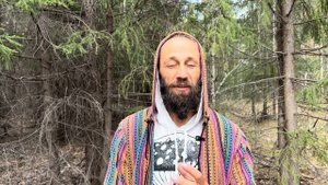 Ежовик гребенчатый – природный стимулятор мозга? До?