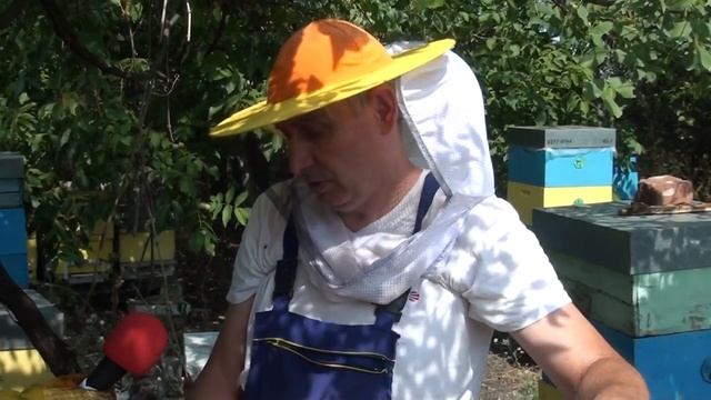 Пчеларство - разговор с Иван Тодоров пчеларско сдруже? смотреть онлайн