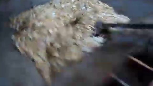 ТЫКВЕННОЕ МАСЛО ИЗГОТОВЛЕНИЕ ДОМА! Маслобойка шнеков?