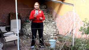 Сделайте это до цветения! Уход за виноградом ранней в?