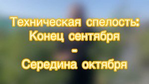 Все о груше Яковлевская