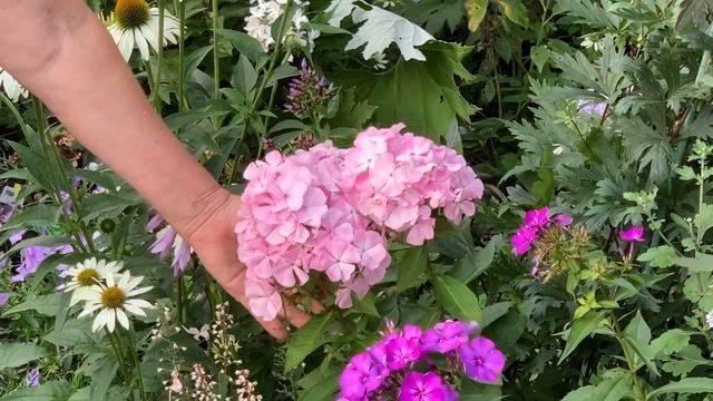 Цвет Яблони и Свит Саммер Фэнтези смотреть онлайн