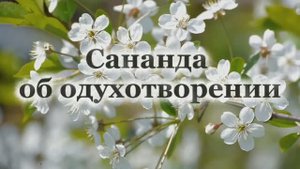 Сананда об одухотворении 07.06.2025г (46 Послание)