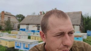 Воровство пчёл как откачать улей во время воровства п?