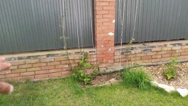 Газон своими руками, прошло два года... смотреть онлайн