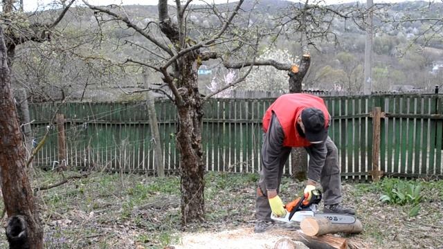 Обкатка новой бензопилы #shorts смотреть онлайн