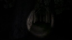 Слендер 1 ЧТОоО_! СЛЕЕНДЕР!!