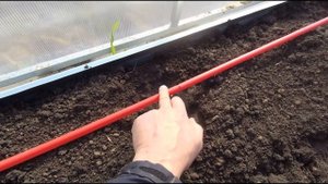 Капельный полив грядок в теплице из пластиковой трубы
