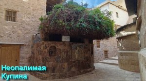 Ответы на Вопросы по Эзотерике от 09.09.25 Часть 7