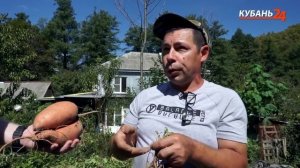 Кубань 24 в гостях у Бататчудо. Батат - новая Культура!