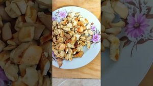 Как вкусно приготовить грибы дождевики или "дедушкин ?