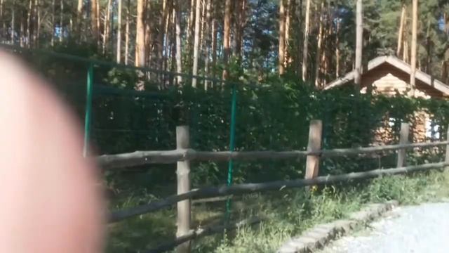 Виноградник смотреть онлайн