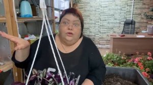 КАК СОХРАНИТЬ РАСТЕНИЯ ЗИМОЙ В ДОМЕ