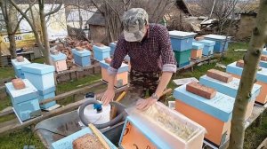 Холодный пар. Обработка пчел стала быстрее.