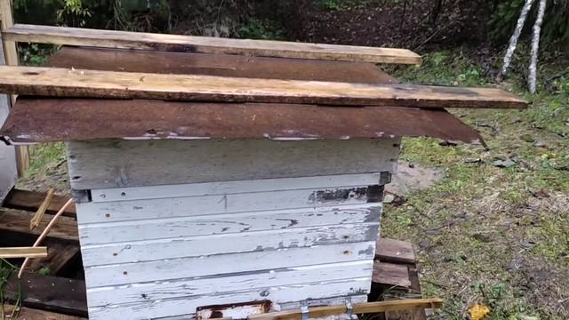 Ремонт улья  Замена старой деревянной крышки улья на п смотреть онлайн