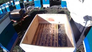 Собираю пчёл в зиму. #пчеловодство #пчёлы #зима