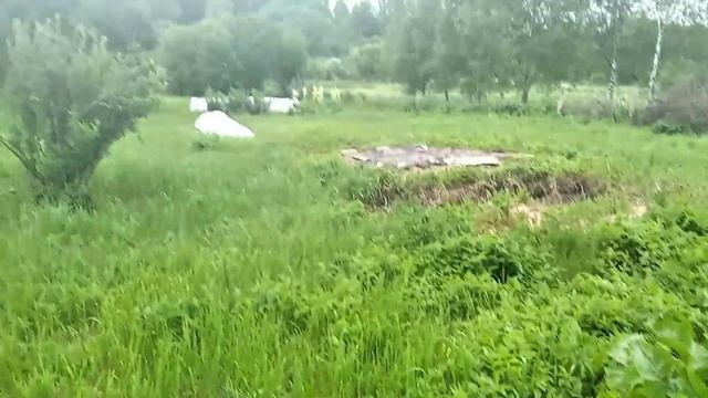 Деревенские будни