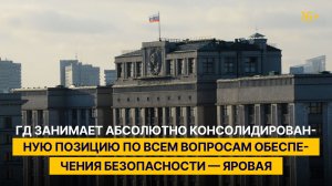 ГД занимает абсолютно консолидированную позицию по всем вопросам обеспечения безопасности — Яровая
