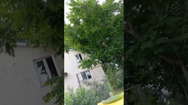 Мурка показывает ребятам огород смотреть онлайн