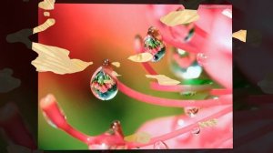 Любви творенье - /Edvin Marton Monte Carlo Orchestra Fireworks /