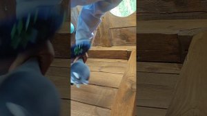 сериал игрушки подушки 2 серия