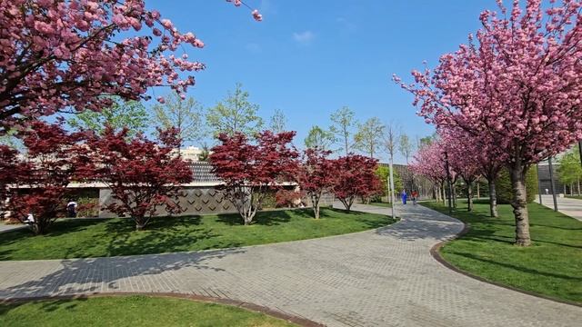 Весна в парке Галицкого 1 часть смотреть онлайн