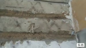 Собрала остатки арбузов из ОГ, обработала ягодники.