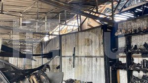 В Ейске из-за пожара в дельфинарии погибли 28 крокодилов и одна черепаха