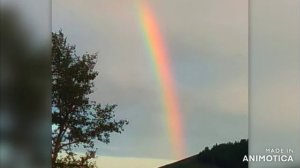 Лето прошло в Кыринском округе 2025г.