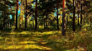 Осени краски 🎨 🌲🍁🌿🌱🌲🍂