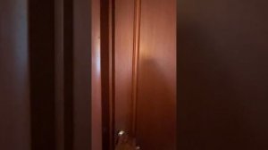 copy_A2969619-0548-4EF7-A389-E4B3BFC52798