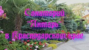 Санаторий «Янтарь» в Краснодарском крае