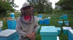 НЕТ 📣 РОЕНИЮ НА ПАСЕКЕ 🐝🐝🐝🐝