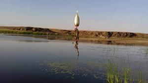 что можно поймать в реке ,river Тобол