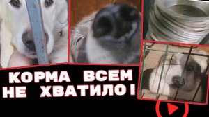 Голодаем, всем не хватило!