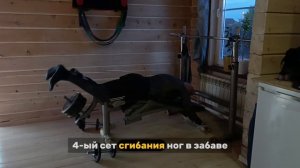 Домашняя тренировка ног с отягощением