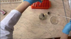 Техника пересева на скошенный мясо-пептонный агар и м?