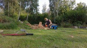 Как убрать пень без выкорчовки