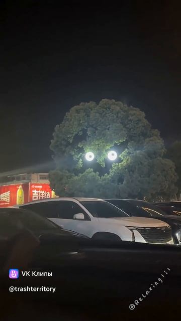 иллюзия обмана 😁