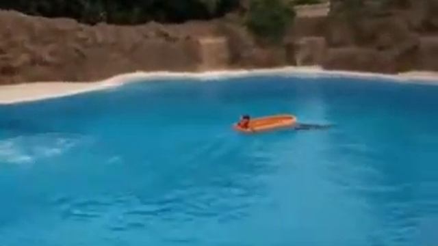 Чарующее зрелище!   Мир новых возможностей. смотреть онлайн