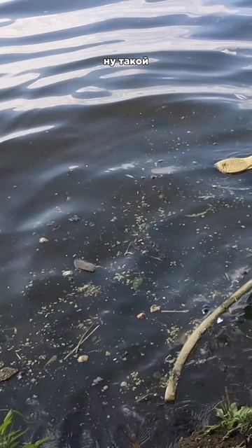 В СМЫСЛЕ?! Москва Сити 2… смотреть онлайн