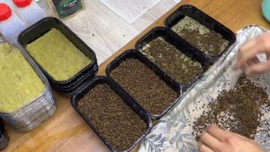 Инструкция по выращиванию Свекла и Мангольд на Микроз