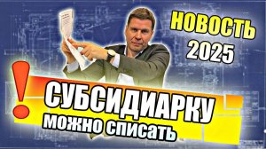 Субсидиарку можно списать! Да, субсидиарная ответственность по долгам ООО теперь может быть списана!