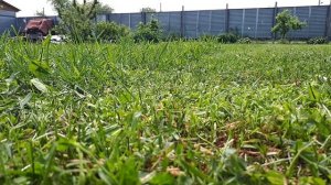 Обзор електрогазонокосилки EINHEL GC-EM-1437.