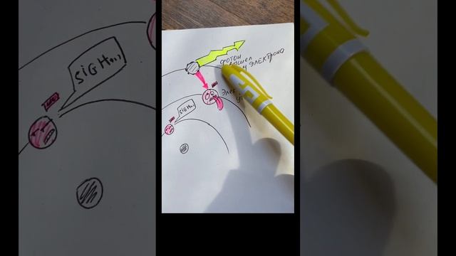 Из чего сделаны кубиты в квантовых компьютерах
