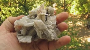 Сингенит купить