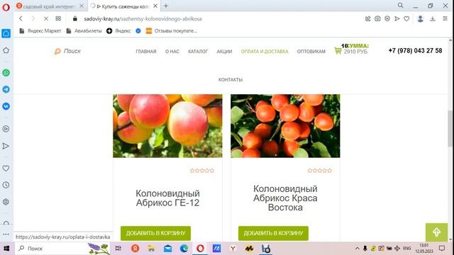 Питомник Садовый Край продаёт саженцы Клубники ,Малин смотреть онлайн