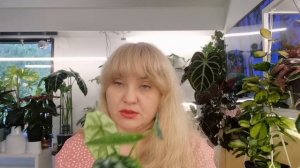 🍀НОВЫЕ РАСТЕНИЯ, РАСТИТЕЛЬНЫЕ НОВОСТИ, БОЛТАЛКА 🍀